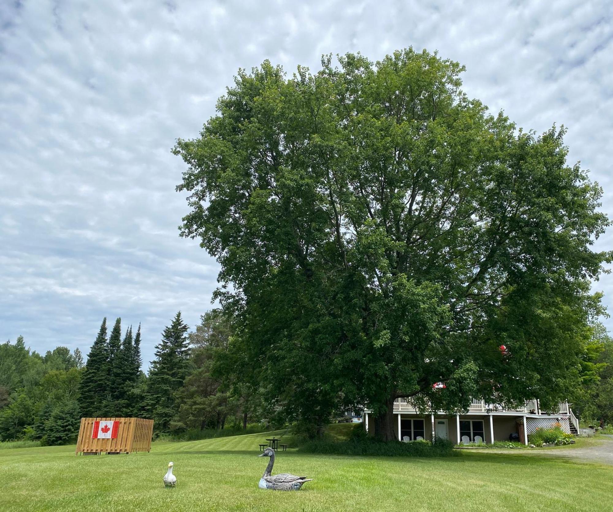 Our Place Up North Bnb Huntsville Extérieur photo
