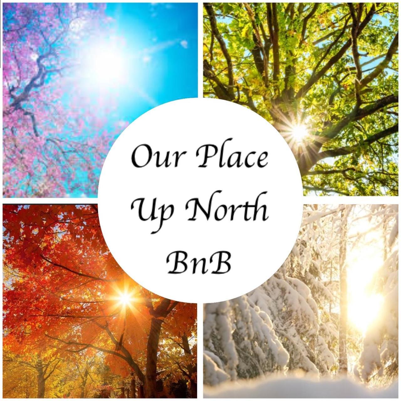 Our Place Up North Bnb Huntsville Extérieur photo